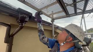 動画サムネイル