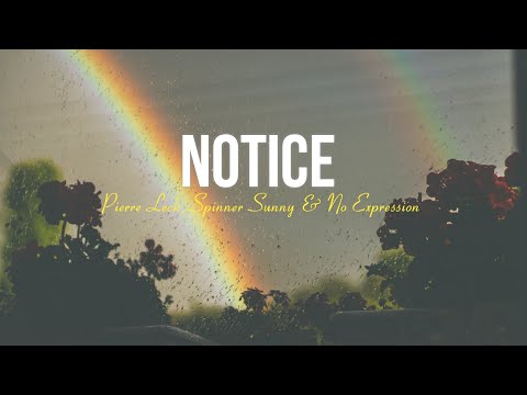 Pierre Leck, Spinner Sunny & No ExpressioN - Notice ( vizualizer )