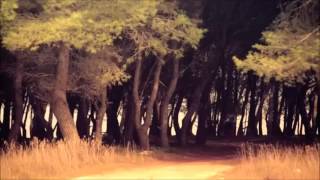 BOOMDABASH  - SOMEBODY TO LOVE (No intro)