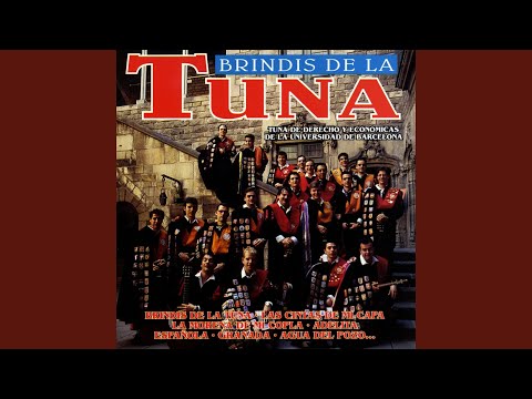 La Morena de Mi Copla