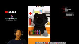 IShowSpeed No You're Black!