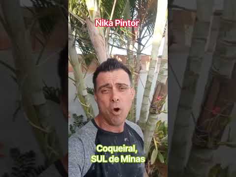 Nika Pintor em Coqueiral no Sul de Minas Gerais