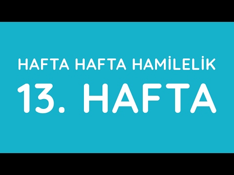 Week 13 - Pregnancy Week by Week - Pregnancy | Anneysen.com