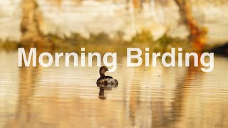 Birding On A Peaceful Winter Morning
