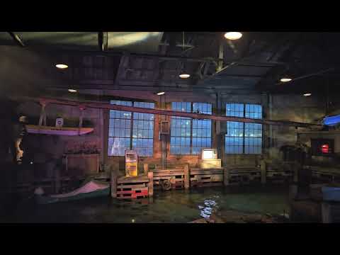 4K Major Hurricane Special Effect Show - Lights! Camera! Action! at Universal Studios Singapore