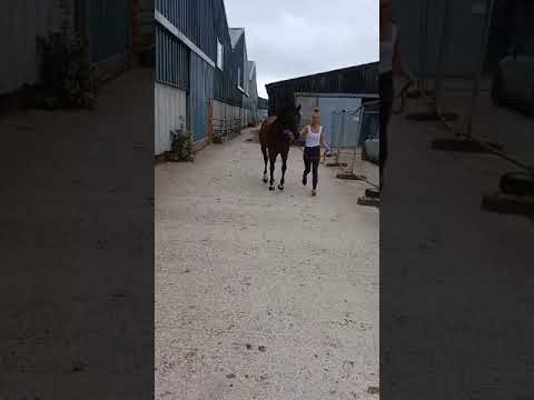 Video 2