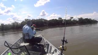 preview picture of video 'pescando bicuda rio araguaia, só piraiba'