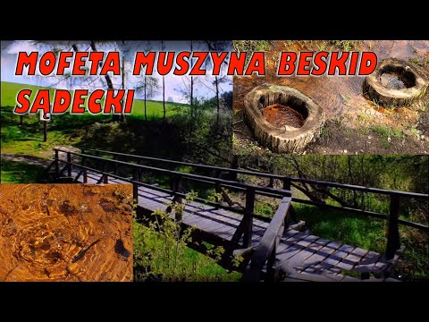Mofeta Muszyna Beskid Sądecki