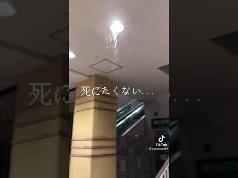 2013 年にすべての Yahoo アカウントがデータ盗難の影響を受けた