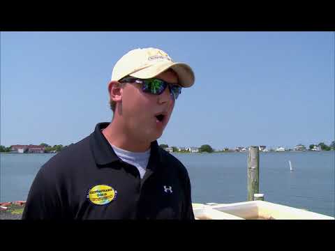 download lagu mp3 mp4 Chesapeake Gold Oysters, download lagu Chesapeake Gold Oysters gratis, unduh video klip Chesapeake Gold Oysters