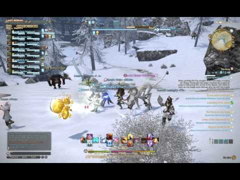 Final Fantasy XIV 200K XP/HR FATE Party LVL 35-45+