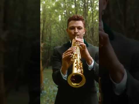 Tyler Rix - Primavera | Ascent