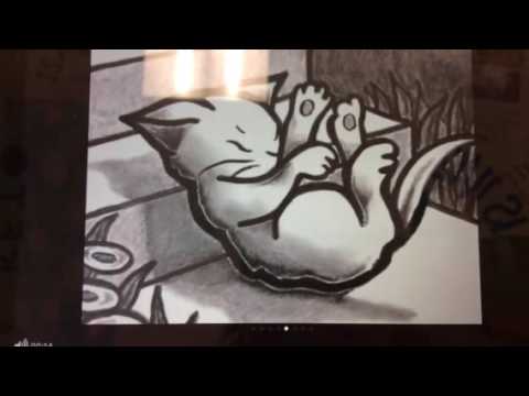 Pedro the Cat in the Farm by Arthur and Payam