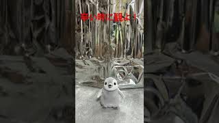 Penguin do dance!