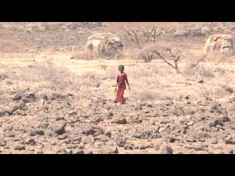 ZDF- History: Die großen Verlierer der Geschichte (Doku)