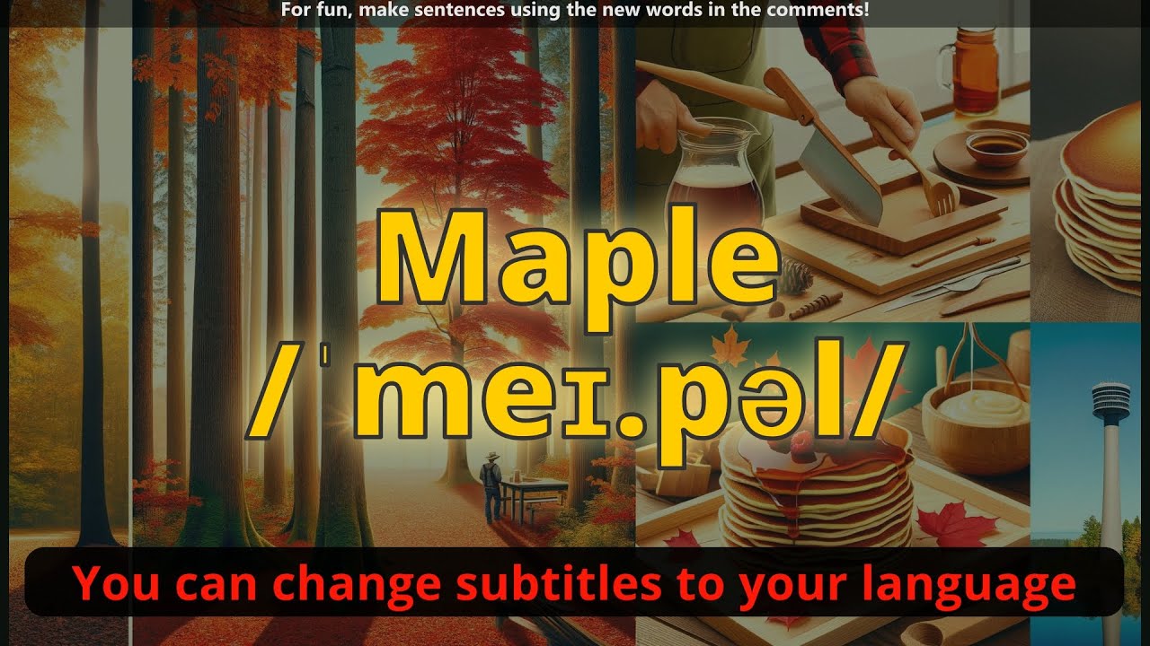 Maple meaning with 5 examples