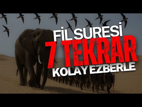Fil Suresi Kolay Ezberle 7 Tekrar | Abdullah Altun |