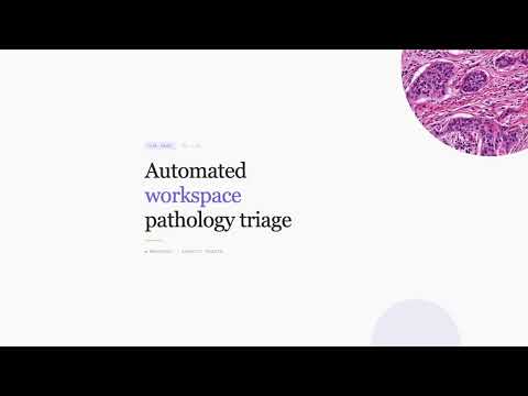 Demo video