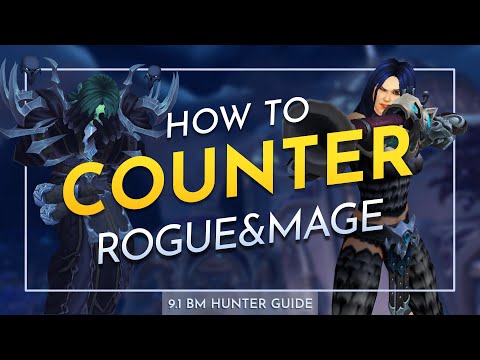 WoW Shadowlands PvP || 9.1 BM Hunter Guide || How To Beat Rogue Mage!