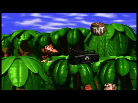 Relaxing Music From Donkey Kong Country Series