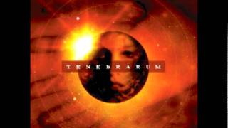 Tenebrarum- search (lyrics)