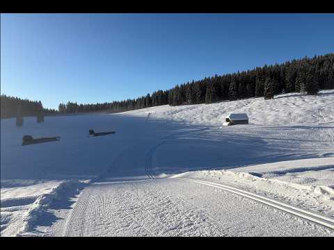 Pokljuka tek na smučeh (Konjščica Zajavornik Kranjska) Nordic Skiing in Stunning Forest Nature ❄️🌲