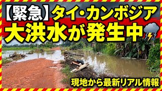 【緊急速報】バンコク大洪水で街が水没…シェムリアップの状況は?タイ・カンボジア観光への影響と現地からの最新情報