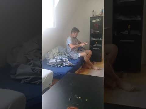 Rechinul din Semlac ( pe uscat in Viena )