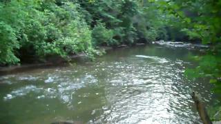 preview picture of video 'Murphy NC Trout fishing at Vineyard Creek Estates'