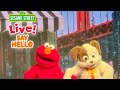 Sesame Street Live Say Hello Full Show