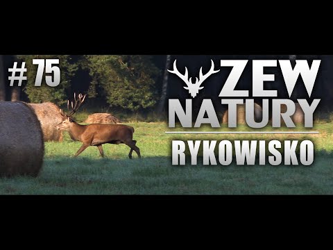 Call of Nature #75 - Rut