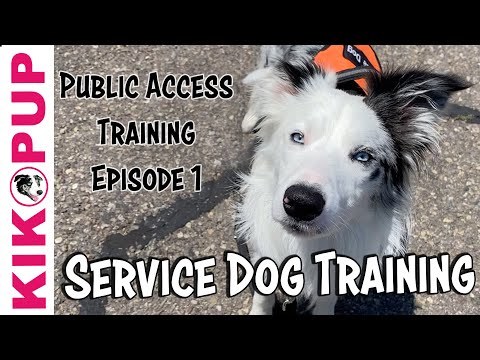 STOP UNWANTED behaviors with BACK UP