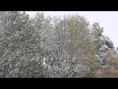 Weiße Landschaften in Utzenaich