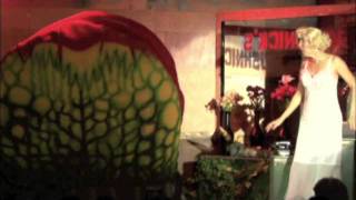 Little Shop - Sominex/Suppertime II