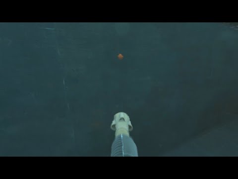 [S] bunny. on jump_pandemonium_v4 Trick 1 (underwater) - 0:04.740