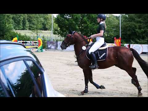 4j Hengst v. Duncan x Narew xx