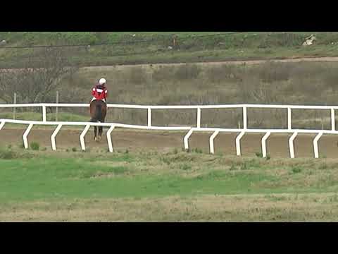 CARRERAS SINT FLORIDA 220728 c10 1° BETTER ZIP (BRZ)