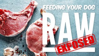 The Raw Diet For Dogs: The Truths & Myths Exposed