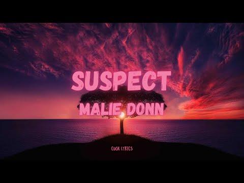 Malie Donn - Suspect (Lyrics)