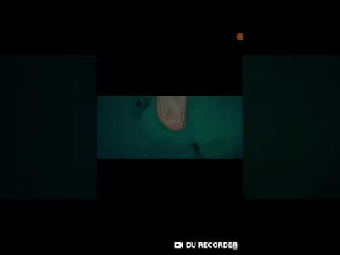 Pavel kolev и Icaka and venzy  Чао адиос