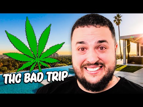 THC Überdosis im USA Urlaub (Reallifestory) | Reeze Live