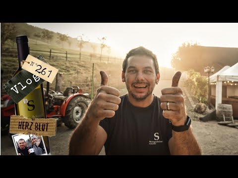 Ernte in Gefahr!! Maschine kaputt | mit Herzblut zum Wein Vlog #261