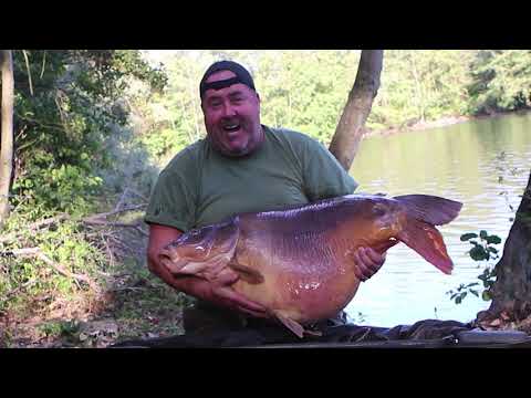 In pursuit of my Fifty - Labyrinth 2018