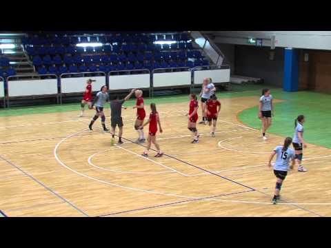 10. KROG - KONČNICA - 2013/2014: 1.A DRL - ŽENSKE: ŽRK CELJE CELJSKE MESNINE : ŽRK VEPLAS VELENJE