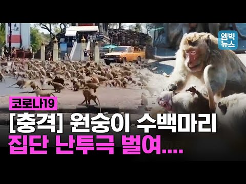 아이콘