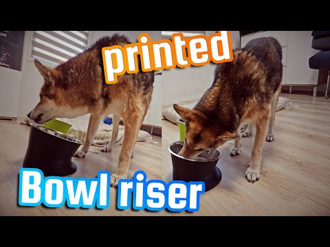 Bowl riser for older or bigger Dog 🐕 Modern look & Easy to 3D print