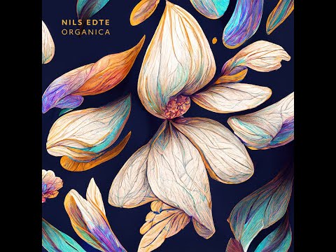 MNMT Premiere : Nils Edte - Oniri