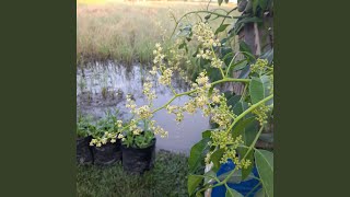 Download lagu Hidup Adalah Sebuah Perjalanan mp3 Download lagu Hidup Adalah Sebuah Perjalanan mp3