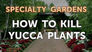 How to Kill Yucca Plants