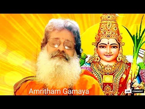  Amma & Guruji in Sannidhy Satsang with divine souls. Soulful rendition of Praharshita Vishnubhotla.